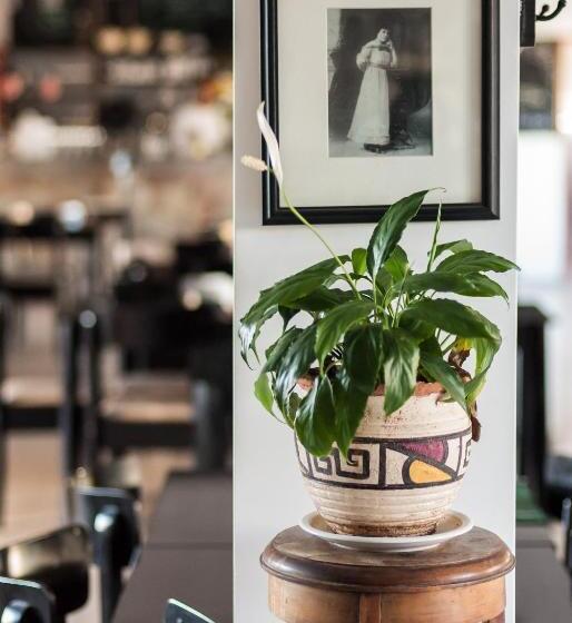 בית מלון כפרי Pro