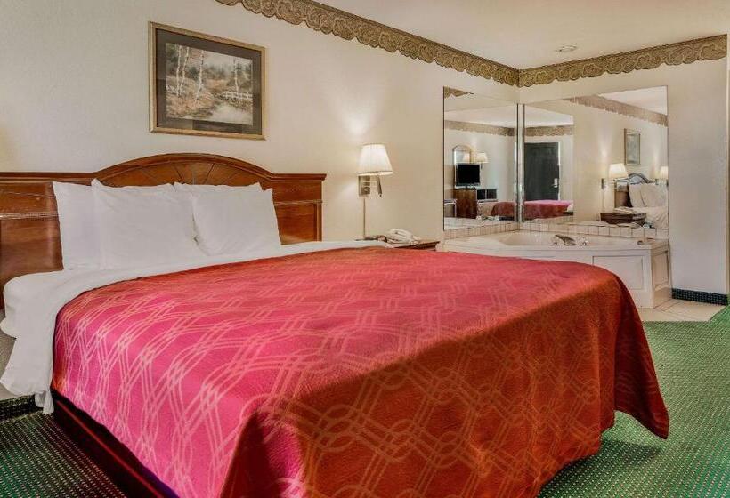 فندق Rodeway Inn