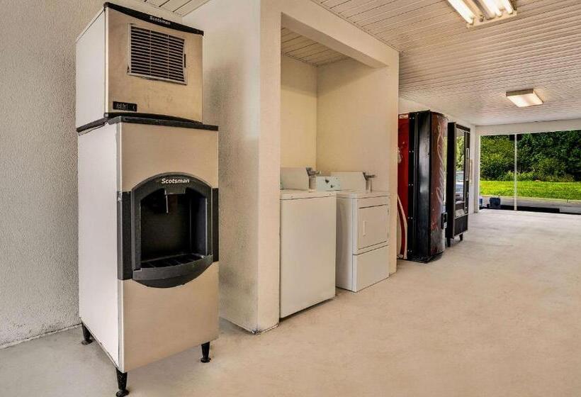 فندق Rodeway Inn