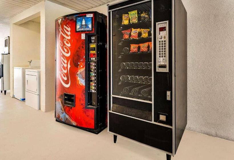 فندق Rodeway Inn