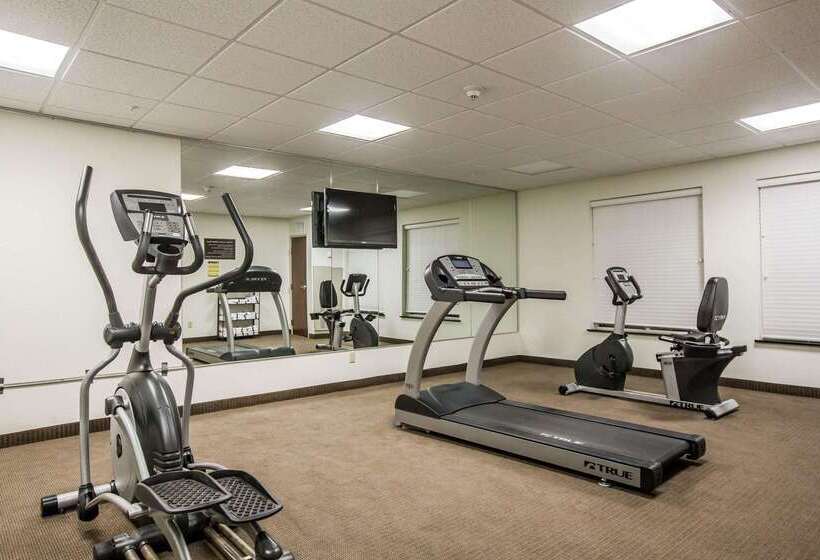 בית מלון כפרי Sleep Inn & Suites Marion  Military Institute