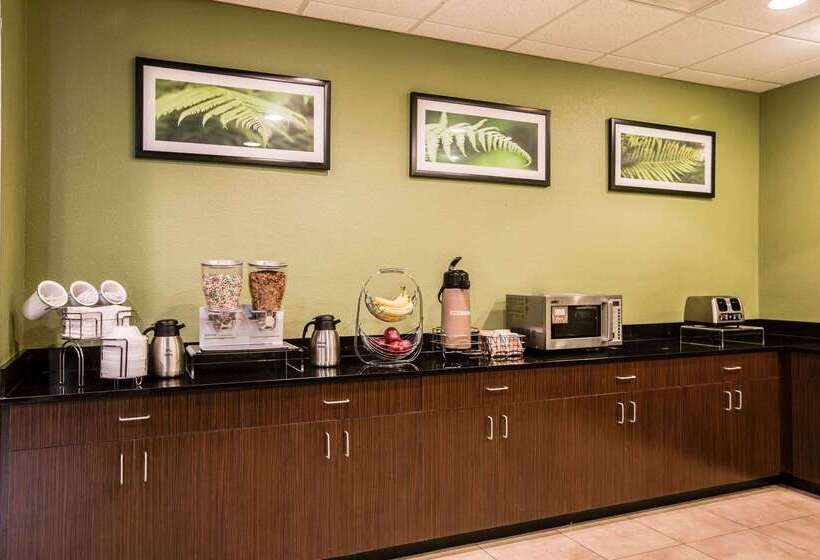 בית מלון כפרי Sleep Inn & Suites Marion  Military Institute