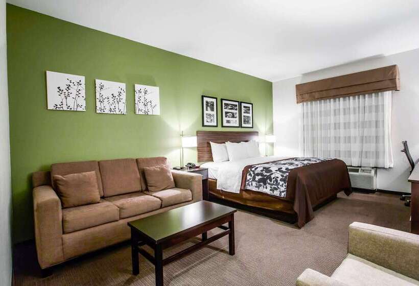 בית מלון כפרי Sleep Inn & Suites Marion  Military Institute