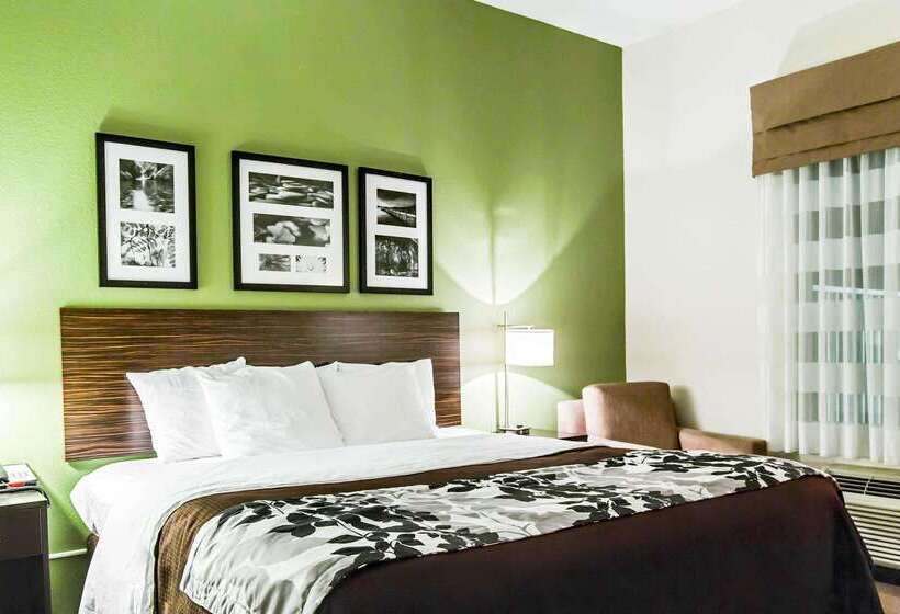 בית מלון כפרי Sleep Inn & Suites Marion  Military Institute