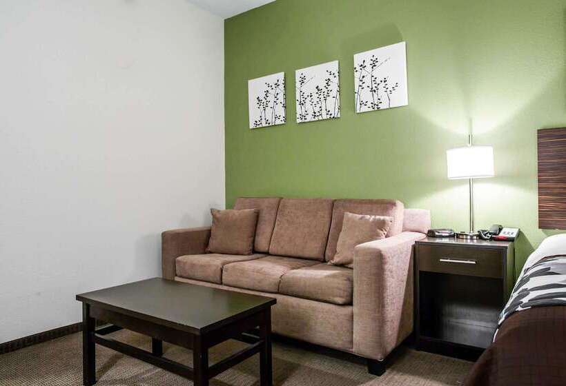 בית מלון כפרי Sleep Inn & Suites Marion  Military Institute