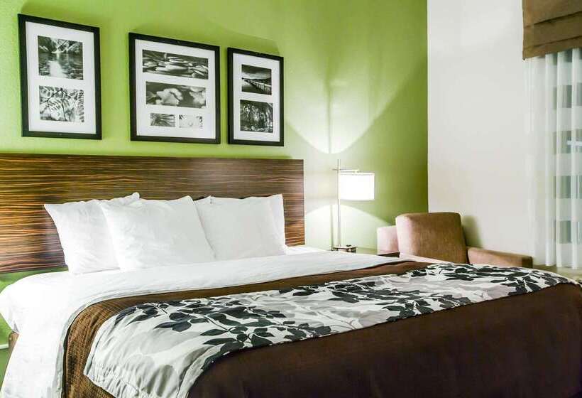 בית מלון כפרי Sleep Inn & Suites Marion  Military Institute