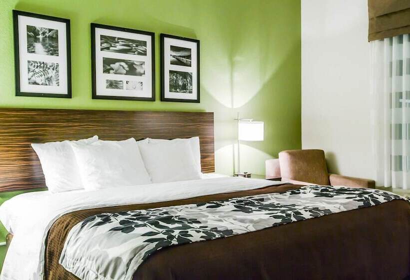 בית מלון כפרי Sleep Inn & Suites Marion  Military Institute