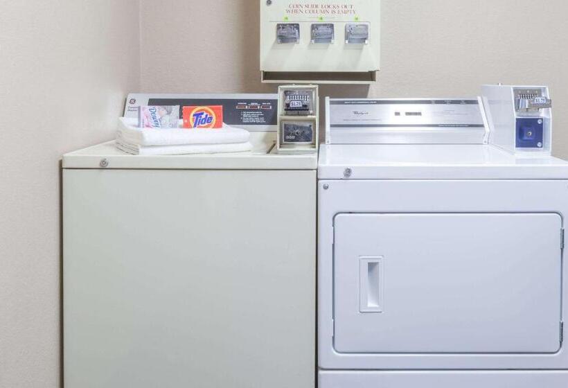 ホテル Super 8 By Wyndham Mt. Pleasant Tx