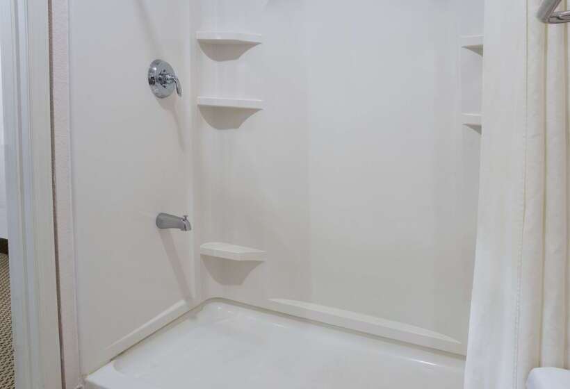 酒店 Super 8 By Wyndham Rosenberg Tx