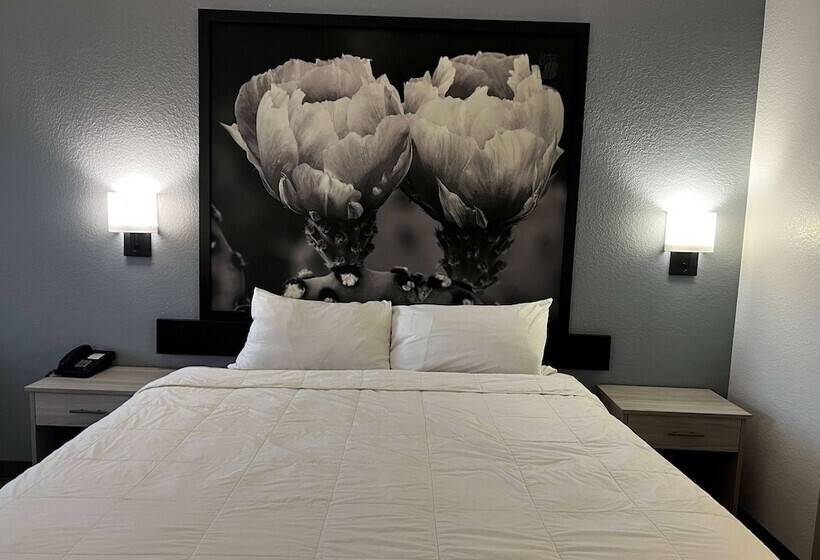 酒店 Super 8 By Wyndham Rosenberg Tx