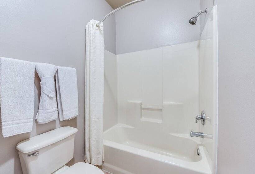 בית מלון כפרי Lone Star Inn   San Benito Harlingen