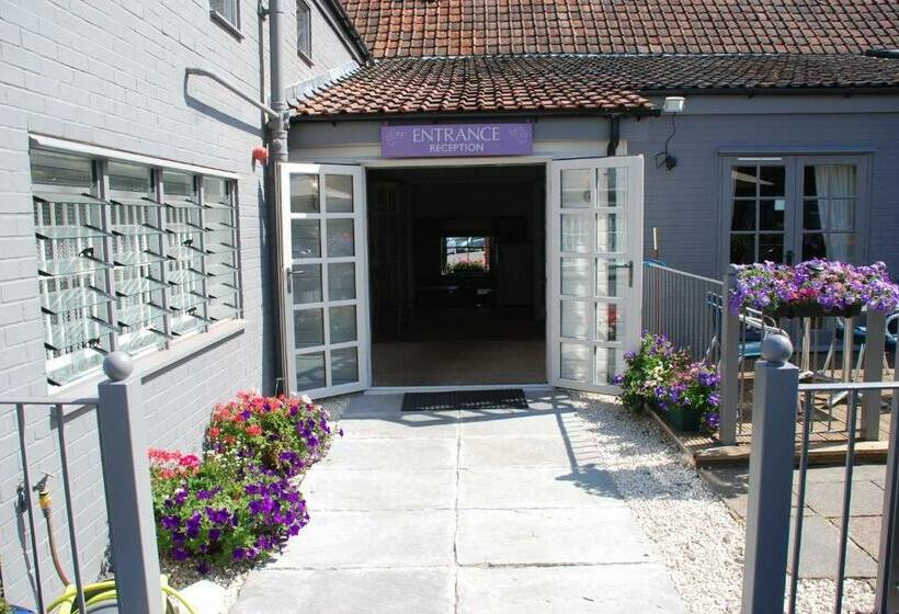 فندق The Angel Inn