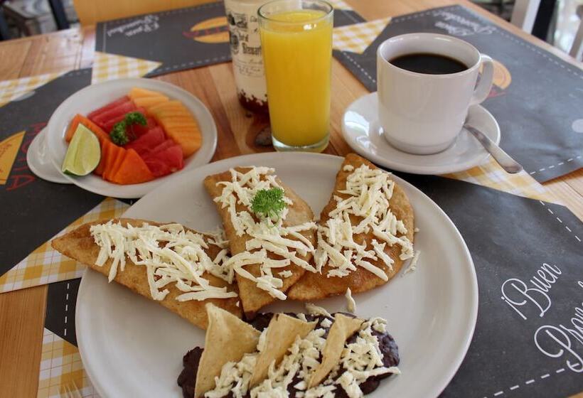 Отель Vf Villa Florencia