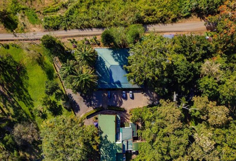 هتل Villa Florencia