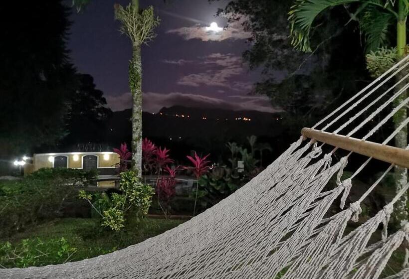 هتل Villa Florencia