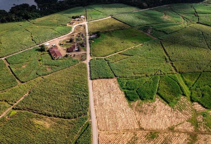 هتل Villa Florencia