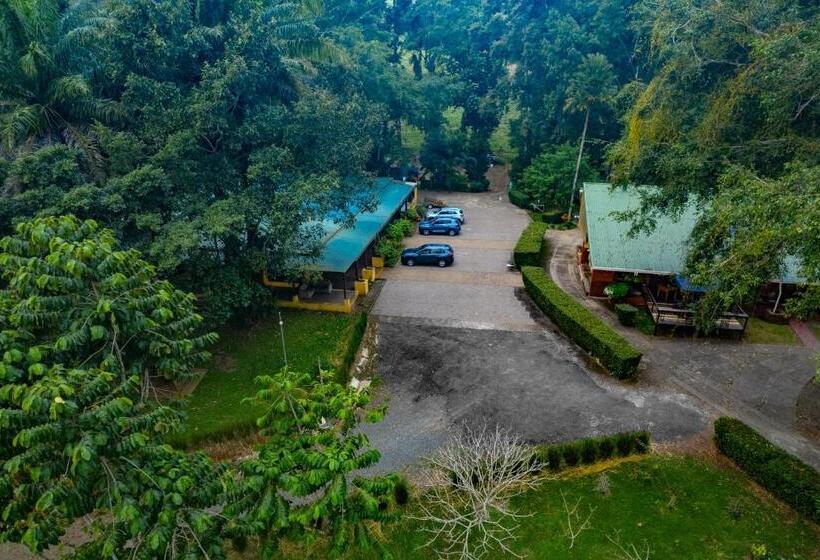 هتل Villa Florencia