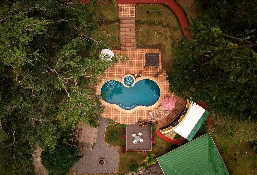 هتل Villa Florencia