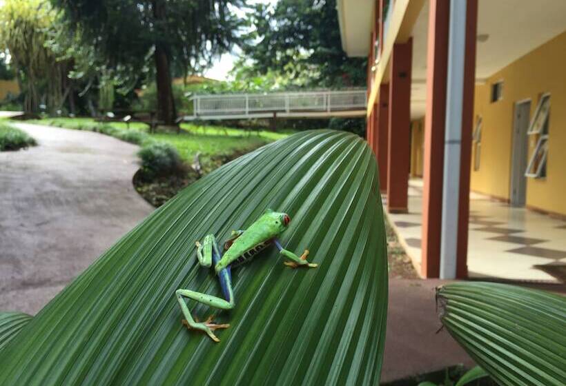 هتل Villa Florencia