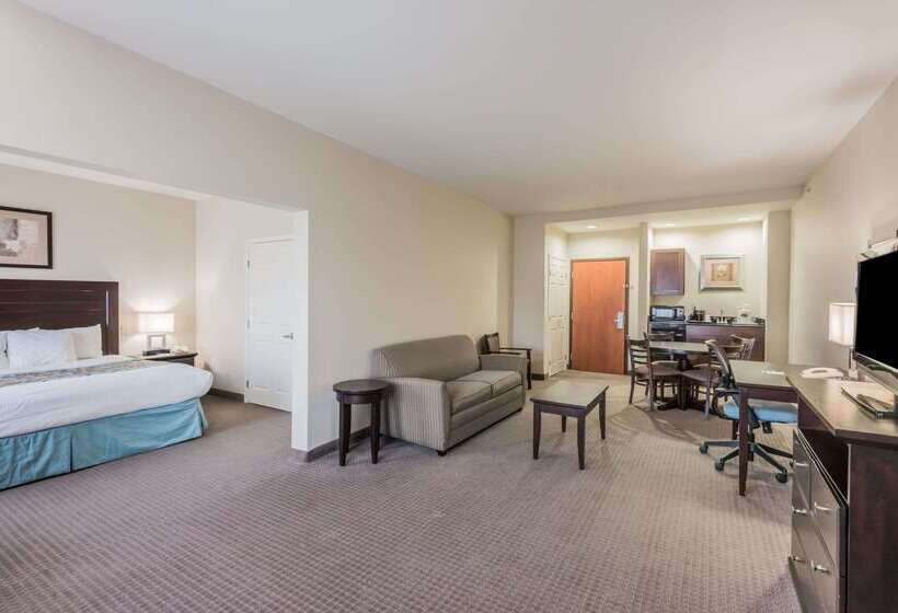 فندق Wingate By Wyndham New Braunfels