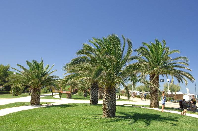 레지던스 Vacancéole   Les Demeures De La Massane   Argelès Sur Mer