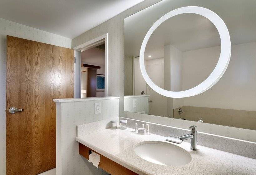 Springhill Suites By Marriott Rexburg