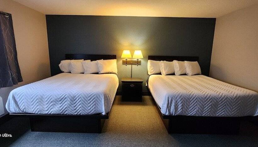 The Oasis Hotel & Bar