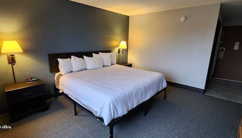 The Oasis Hotel & Bar