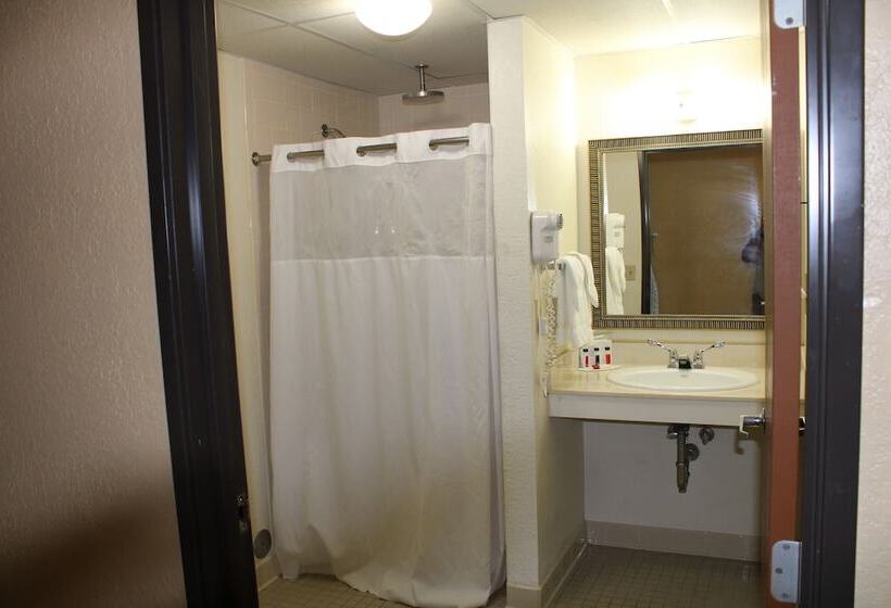 The Oasis Hotel & Bar