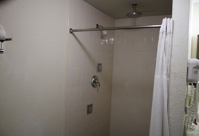 The Oasis Hotel & Bar