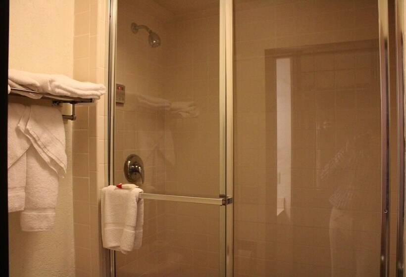 The Oasis Hotel & Bar