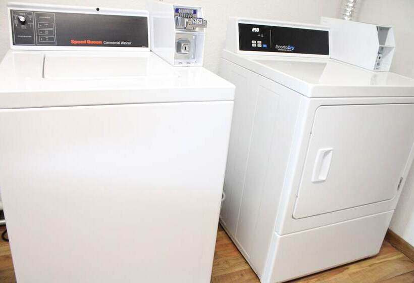 The Oasis Hotel & Bar