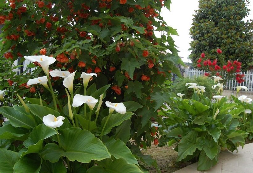 تختخواب و صبحانه Affittacamere La Tartaruga