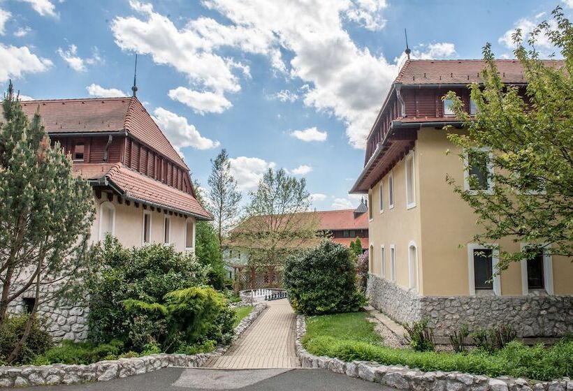 Club Dobogomajor Superior