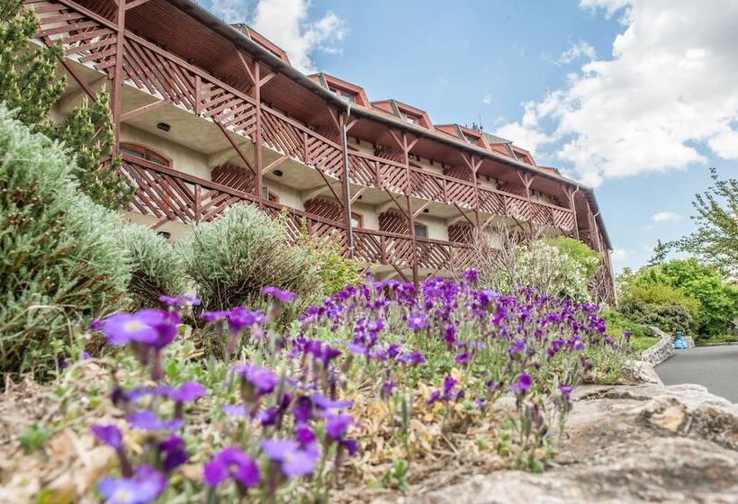 Club Dobogomajor Superior