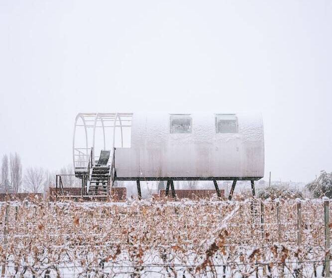 فندق Entre Cielos Wine & Wellness