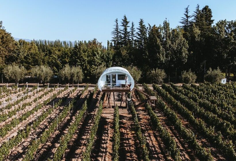 فندق Entre Cielos Wine & Wellness