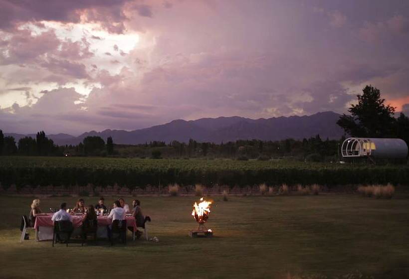 فندق Entre Cielos Wine & Wellness