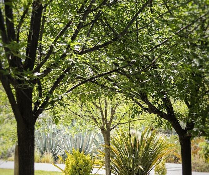 هتل Entre Cielos Wine & Wellness