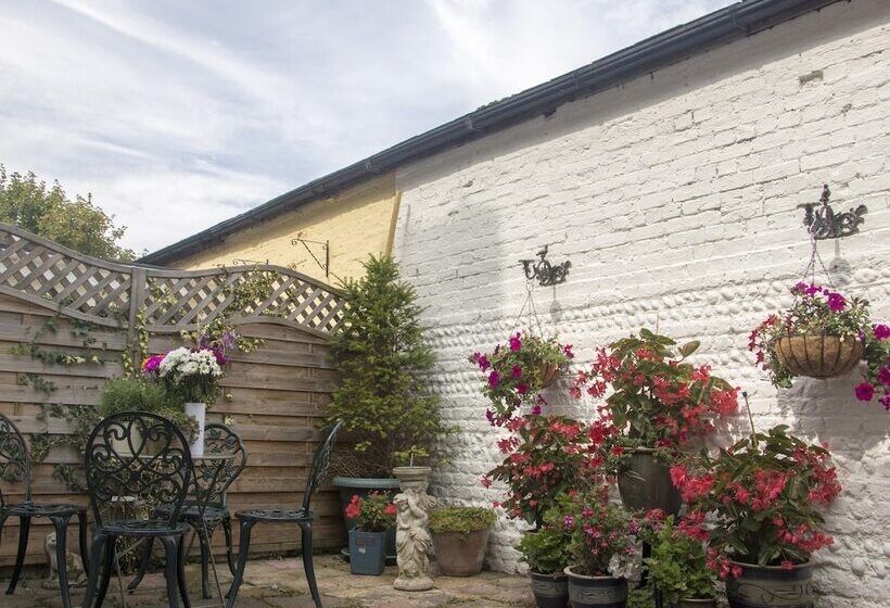 호텔 Albert & Victoria Guest House