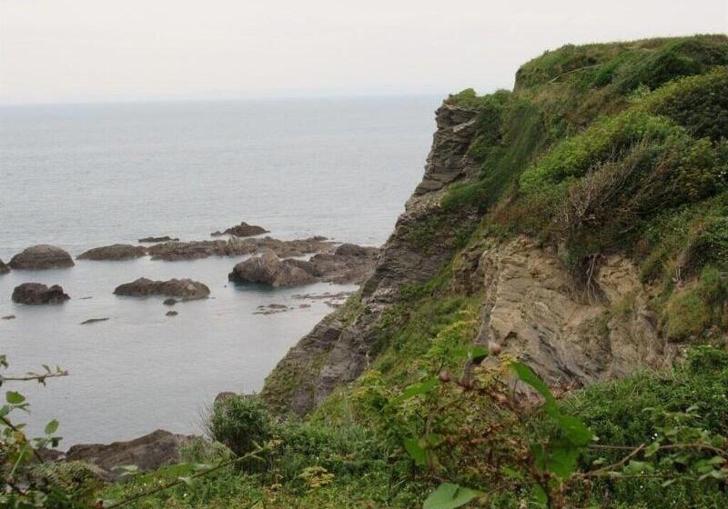 酒店 Avoncourt Lodge