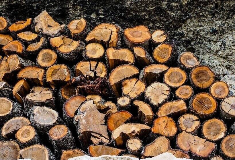 فندق Bajo El Cejo