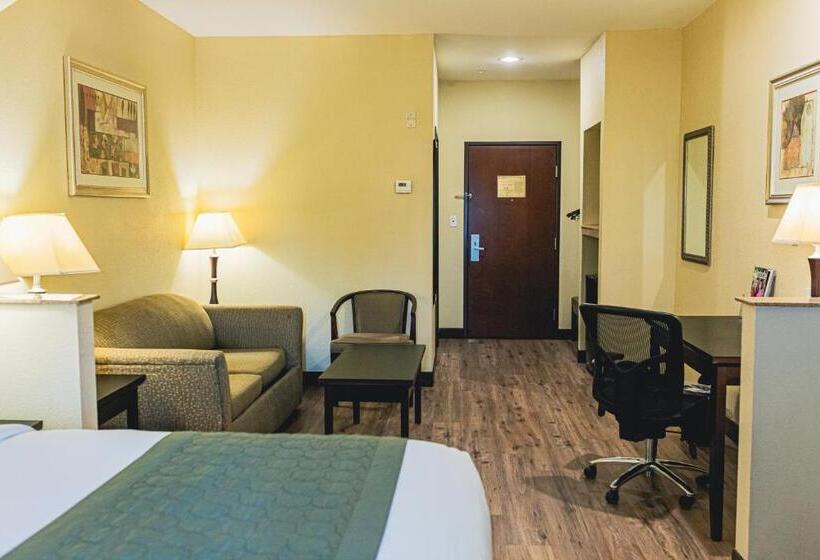 فندق Baymont By Wyndham Tyler