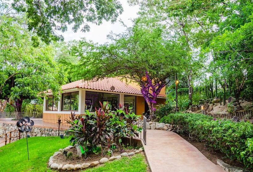 호텔 Binniguenda Huatulco & Beach Club