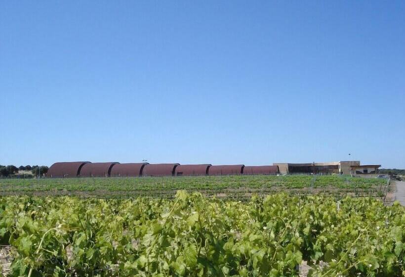 בית מלון כפרי Bodega Pago Del Vicario