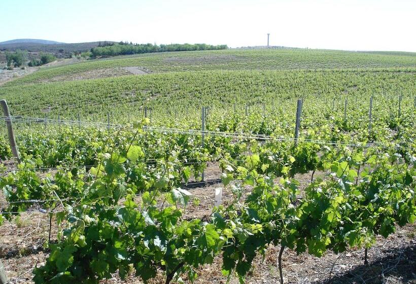 בית מלון כפרי Bodega Pago Del Vicario