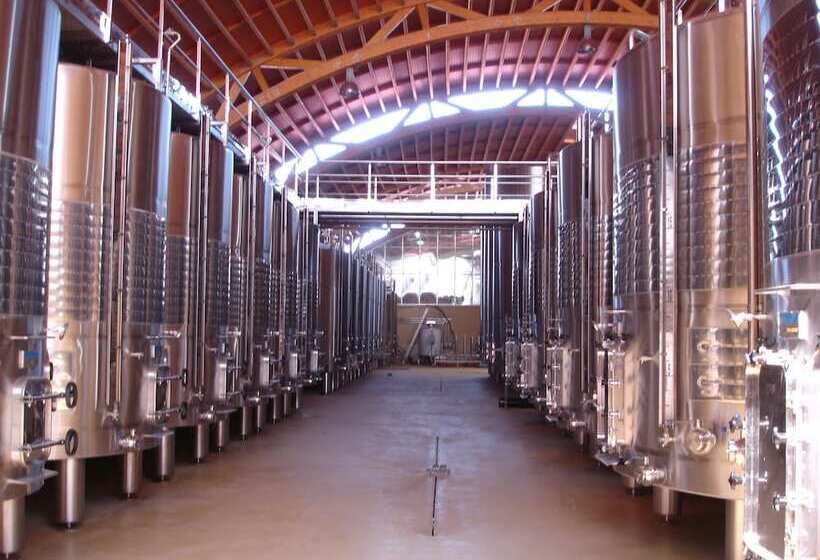 בית מלון כפרי Bodega Pago Del Vicario