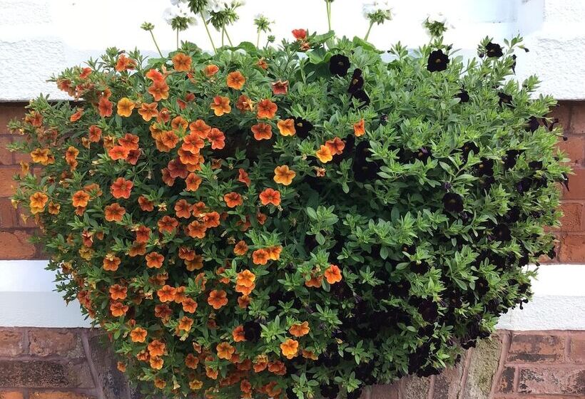 فندق The Bowden Lodge