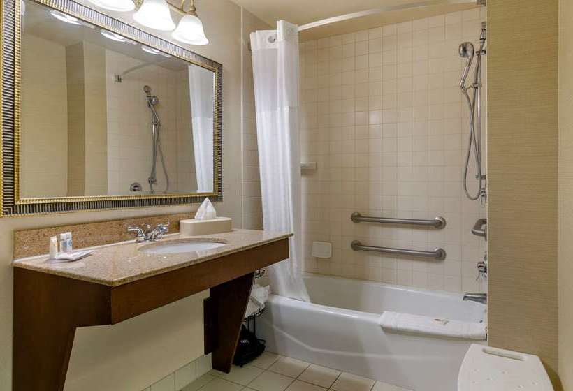 בית מלון כפרי Comfort Inn & Suites Jerome   Twin Falls