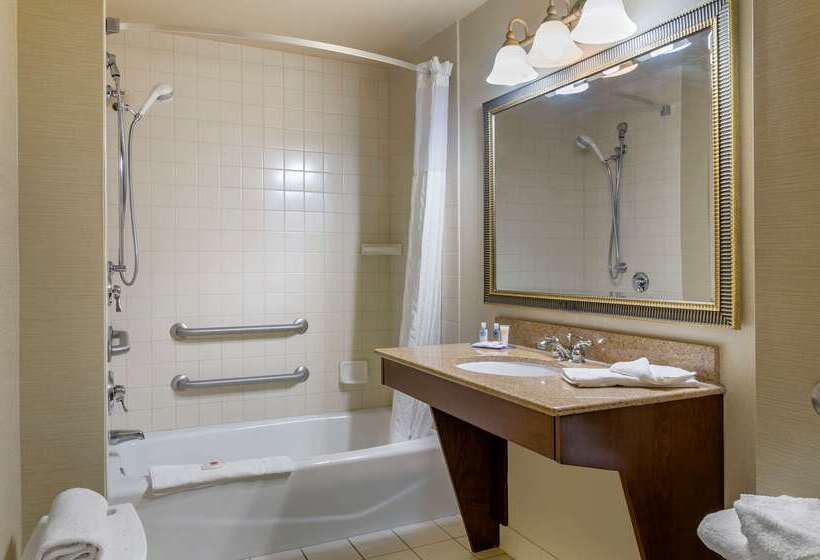 בית מלון כפרי Comfort Inn & Suites Jerome   Twin Falls